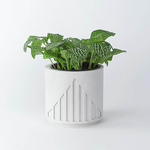 Lines Planter