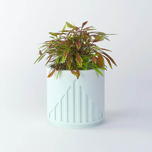 Lines Planter