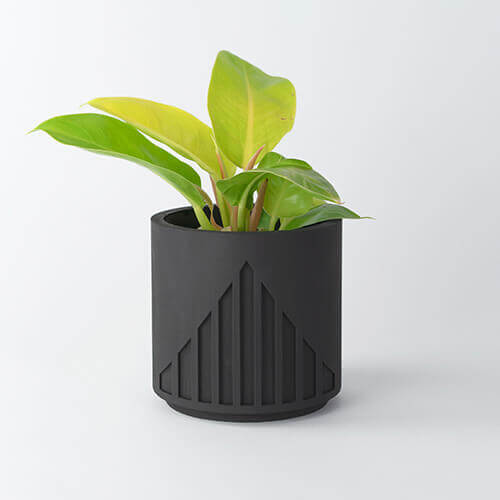 Lines Planter