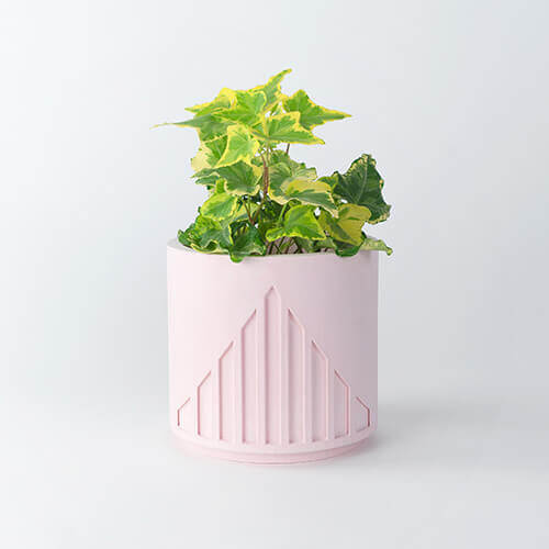 Lines Planter